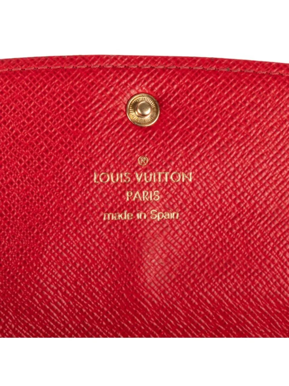 Louis Vuitton brand louis